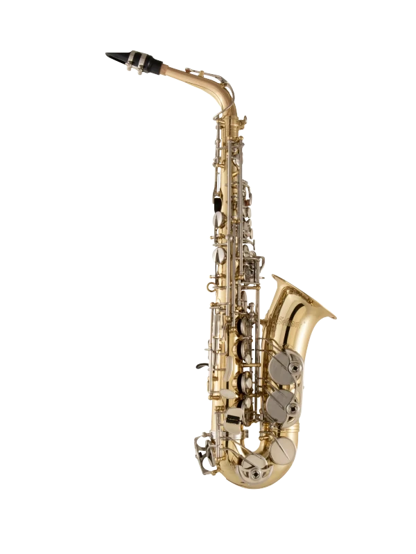 SAS301 Selmer Student Alto Saxophone In Fr Vr Fs