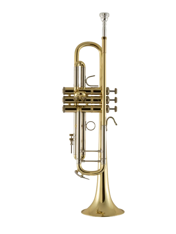 18037 Bach Standard Professional Trumpet In Fr Vr Fs
