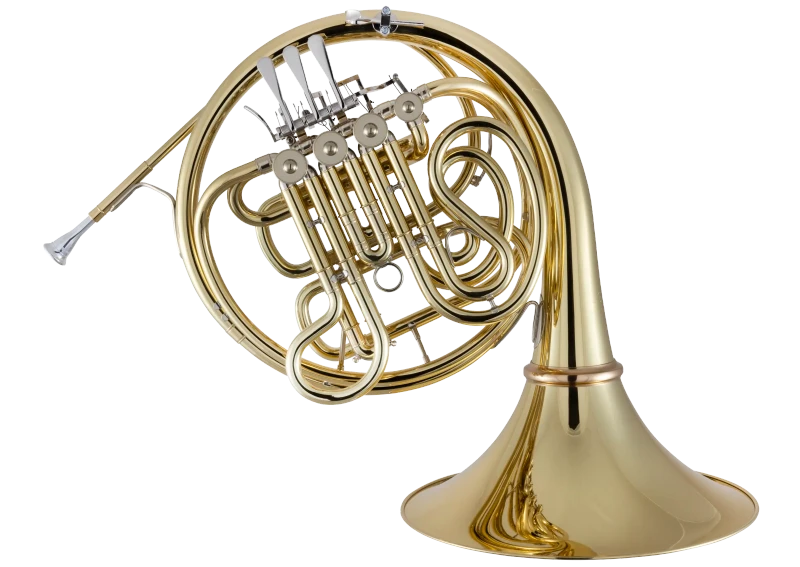 10DYS Conn Professional French Horn
