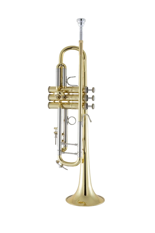 18043 Bach Professional Standard Trumpet In Fr Vr Fs