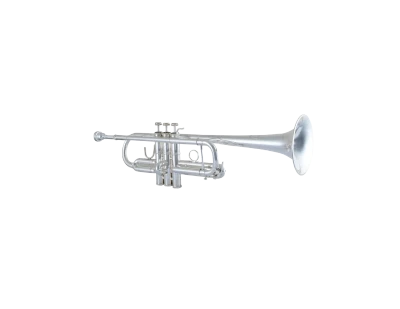 Bach Stradivarius Trumpet in C C190L229